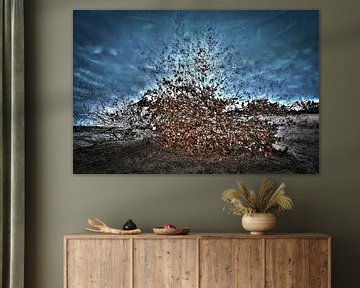 Beekhuizerzand mit Pep-Ventosa-Technik von Eddy Westdijk