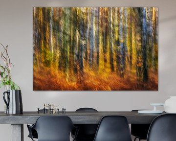 Herfstvuur in het berkenbos