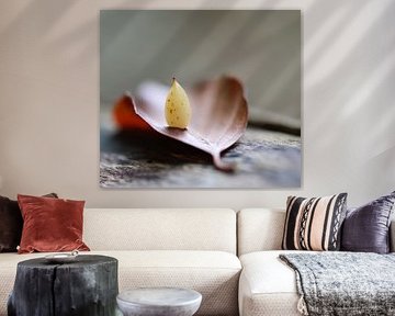 In balance by Angelique Raaijmakers