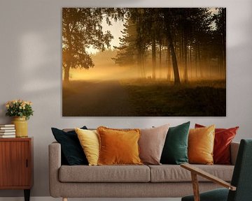 Zomerse ochtendmist van FotoCreatives