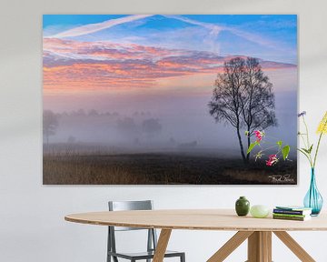 Fluistering van de dageraad van FotoCreatives