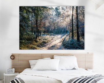 Winterlicher Waldweg