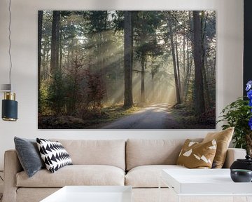 Magischer Herbstmorgen