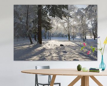 Schnee in der Lönermark