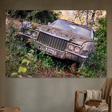 Un luxe oublié dans la forêt - un classique américain en sommeil