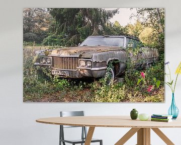 Vergessener Luxus im Wald – Vergessener Luxus im Wald – ein amerikanischer Klassiker im Dornröschenschlaf von Gentleman of Decay