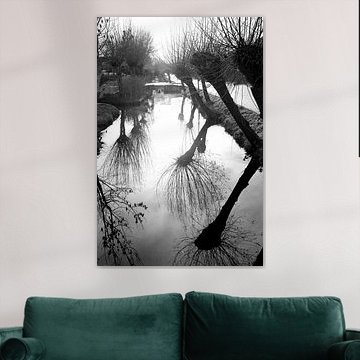 willows in the mist(1)