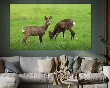 Clin d'œil sur Tim van der Bruggen