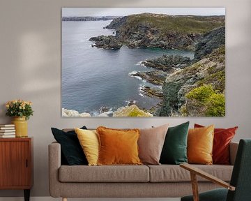 Côte sauvage de Terre-Neuve