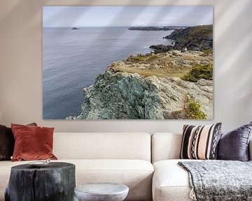 Côte sauvage de Terre-Neuve