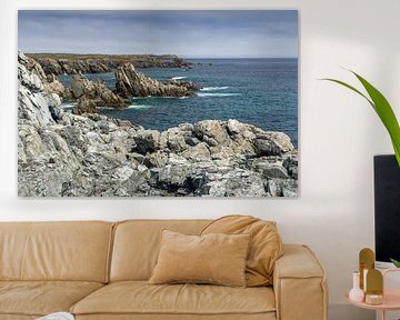 Côte sauvage de Terre-Neuve