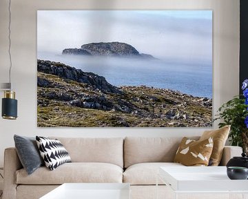 Côte sauvage de Terre-Neuve