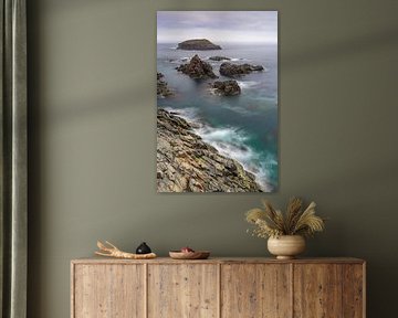 Côte sauvage de Terre-Neuve