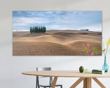 Herbst in der Toskana von Achim Thomae Photography