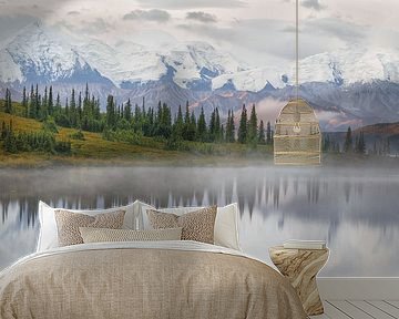 Denali berg in Alaska