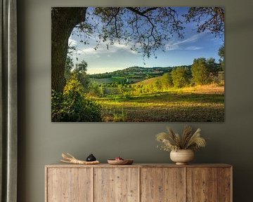 Oak Tree and Casale Marittimo Village in Alta Maremma, Tuscany by Stefano Orazzini