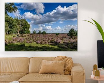 L'été dans la forêt de Deeler