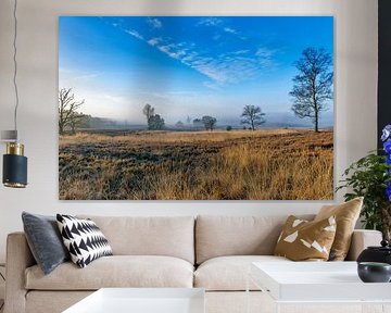 Paysage de la Veluwe en hiver