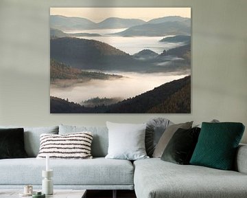 Ambiance brumeuse dans la forêt du Palatinat sur Anselm Ziegler Photography