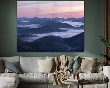 Lever de soleil dans la forêt du Palatinat sur Anselm Ziegler Photography