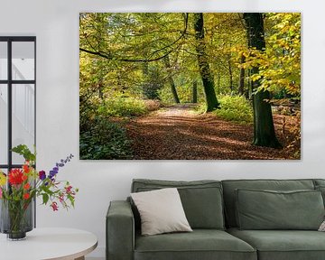 Promenade automnale dans le domaine de Rhederoord