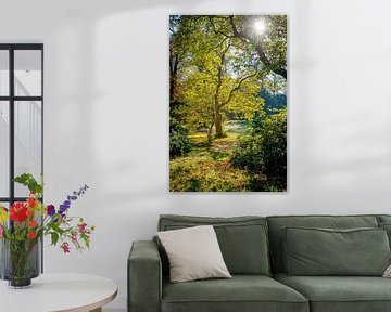 Magische Ausblicke im Herbst auf dem Landgut Rhederoord