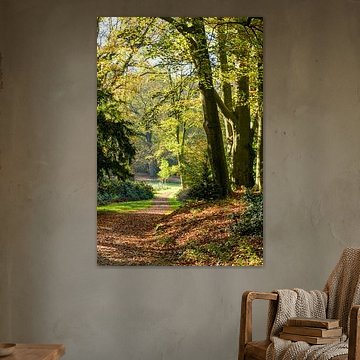 Dromerige paadjes op landgoed Rhederoord