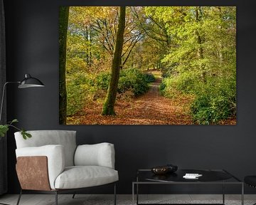 Landgut Rhederoord in Herbstfarben