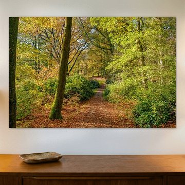 Landgoed Rhederoord in najaarskleuren