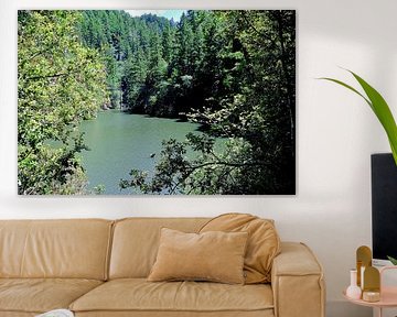 Vue sur une partie du lac Alpine sur Frank's Awesome Travels