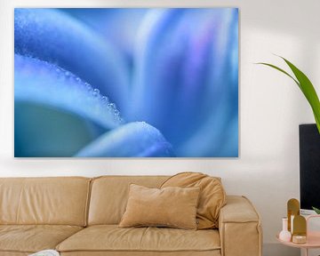 Wassertropfen in einem abstrakten Linienspiel von Marjolijn van den Berg