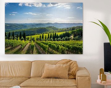 Vignobles de Radda in Chianti, Toscane sur Stefano Orazzini