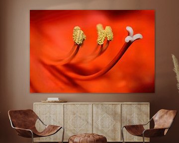 Lady in red - Macro-opname van de bloesem van een rode lelie