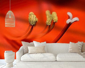 Lady in red - Macro-opname van de bloesem van een rode lelie van Reiner Würz / RWFotoArt