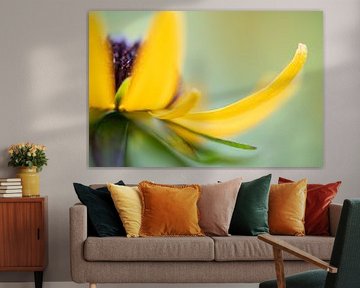 yellow petals by Arienne Mol