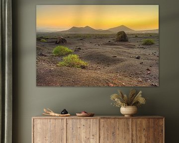 Vulkanlandschaft auf Lanzarote in der Morgendämmerung