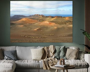 Vue sur le parc national de Timanfaya à Lanzarote sur Michael Valjak
