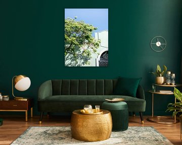 Grüntöne aus Oaxaca II