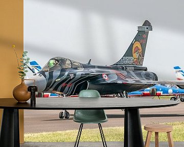 Dassault Rafale C van het Tactical Display Team.