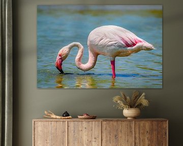 Flamingo in een wetland in de kuststreek van Camarque in het zuiden van Sjoerd van der Wal Fotografie