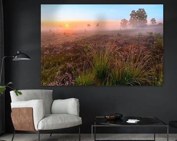 Lever de soleil sur un paysage de bruyère