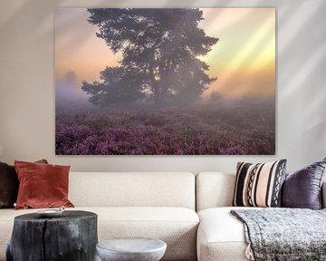 Lever de soleil sur un paysage de bruyère