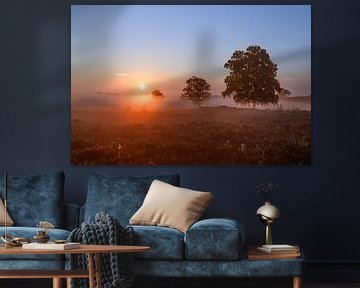 Lever de soleil sur un paysage de bruyère