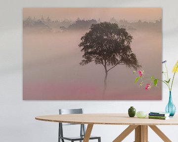 Lever de soleil avec brouillard sur un paysage de bruyère