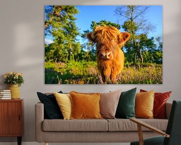 Portrait de bovins des Highlands dans une forêt sur Sjoerd van der Wal Photographie