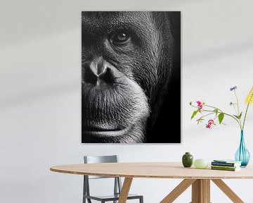 Gorilla – Tiefe Ruhe und stille Macht in Schwarzweiß