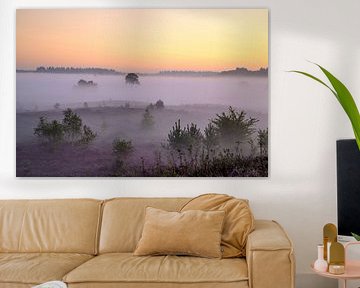 Lever de soleil sur un paysage de landes