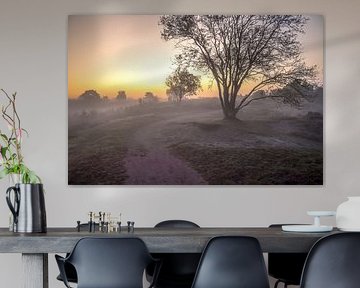 Lever de soleil sur un paysage de bruyère