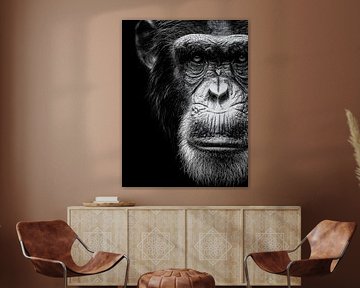 Schimpanse – Nachdenklicher Blick und stille Präsenz in Schwarzweiß