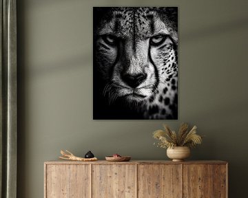 Gepard – Fokussierter Blick und gespannte Eleganz in Schwarzweiß